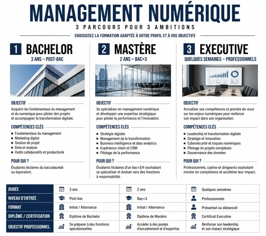 Infographie comparative des formations en management numérique à Lyon : Bachelor, Mastère et Executive.